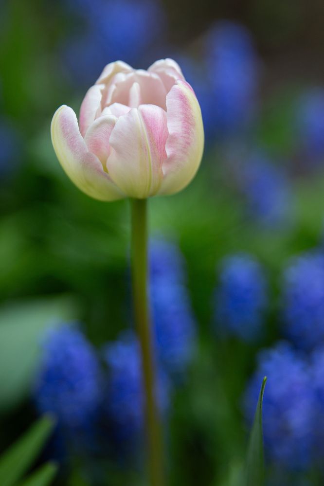 Photograph by Наталья Кузьменко