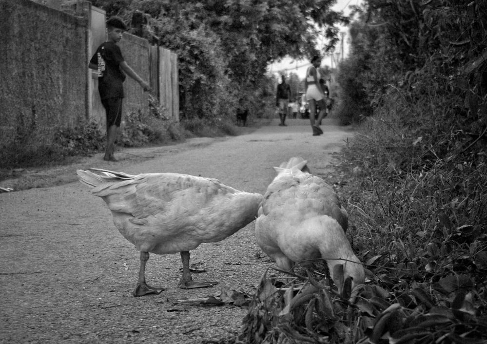 Фотография автора Osmany Fernández