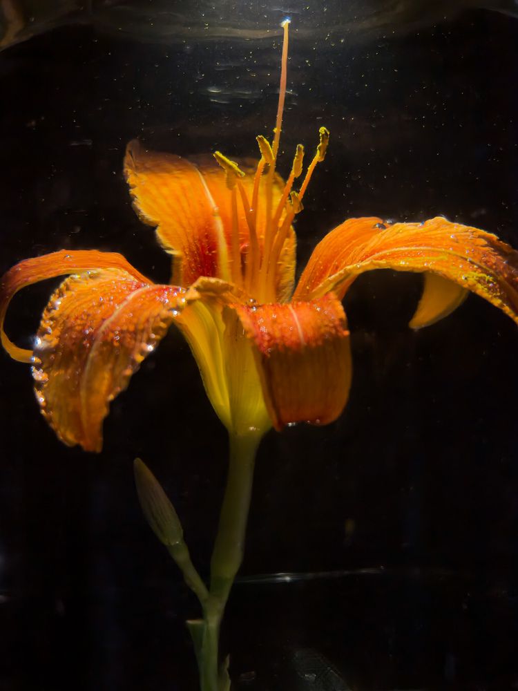 Photograph by Анна Каримуллина