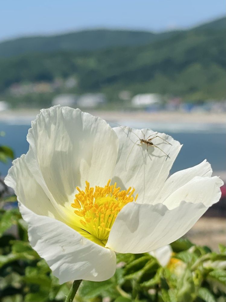 Photograph by Татьяна Баранова