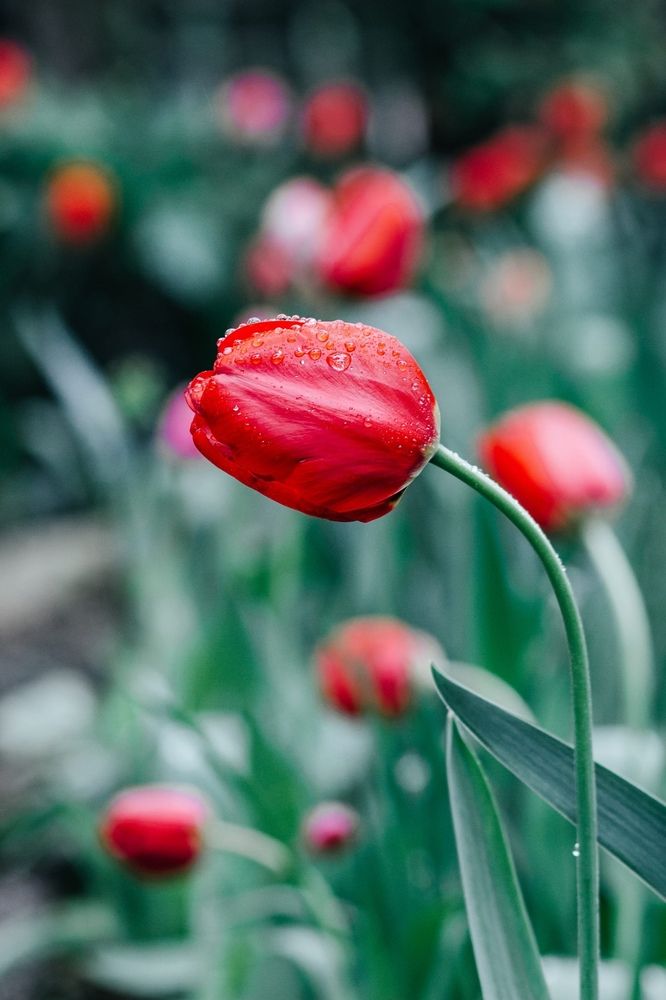 Photograph by Анастасия Лидяева