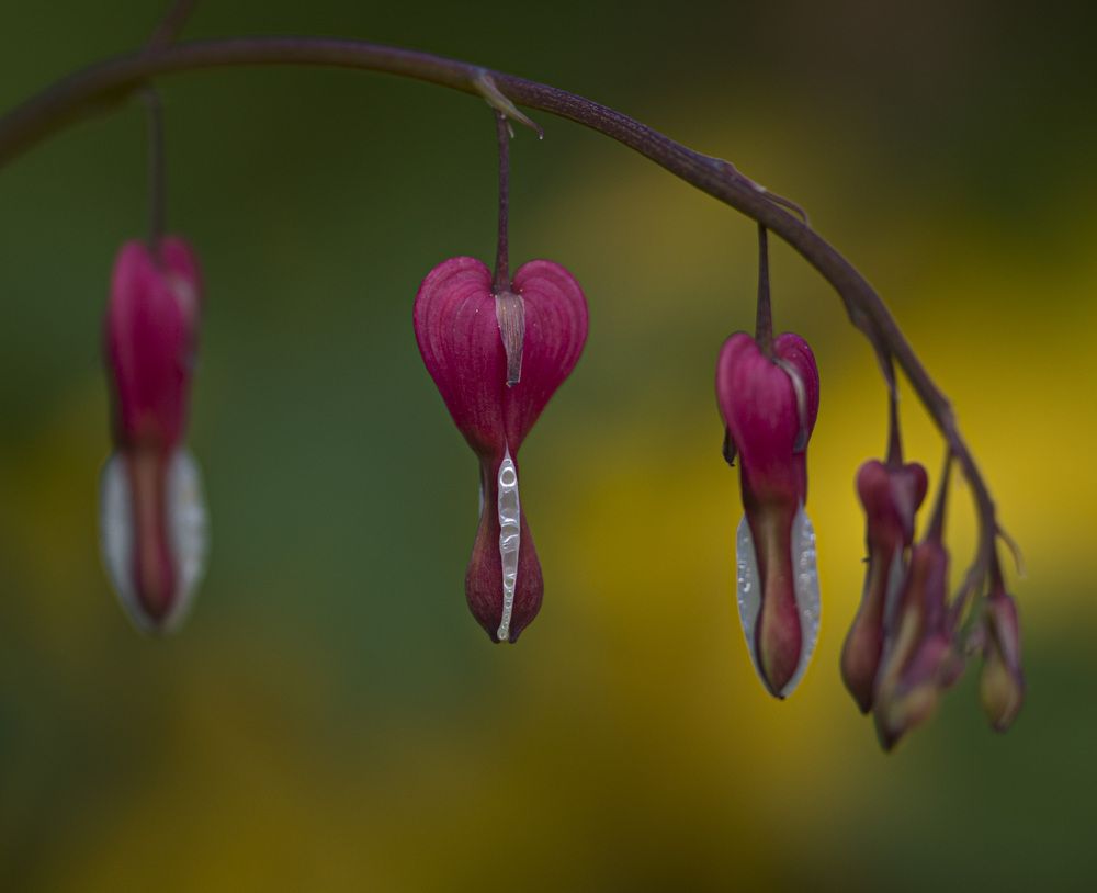Photograph by Дмитрий Емельянов