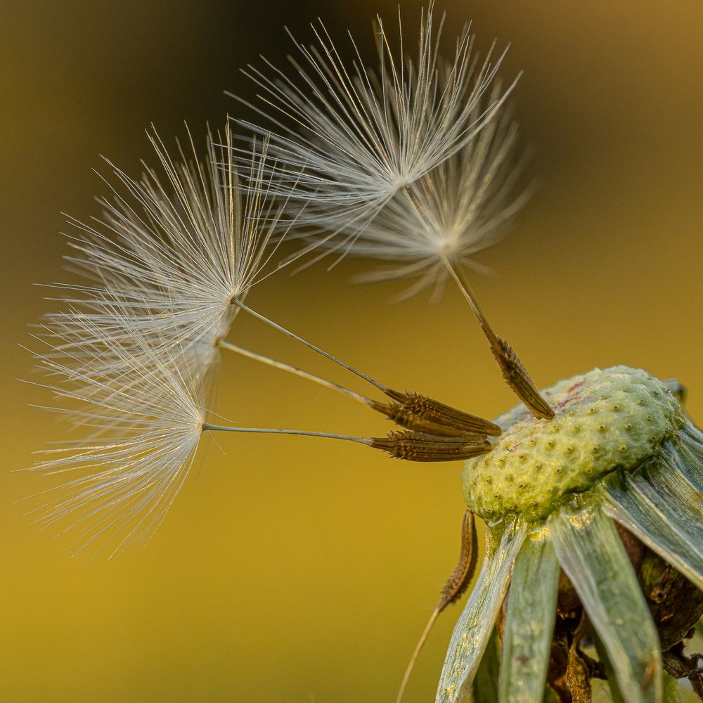 Photograph by Дмитрий Емельянов