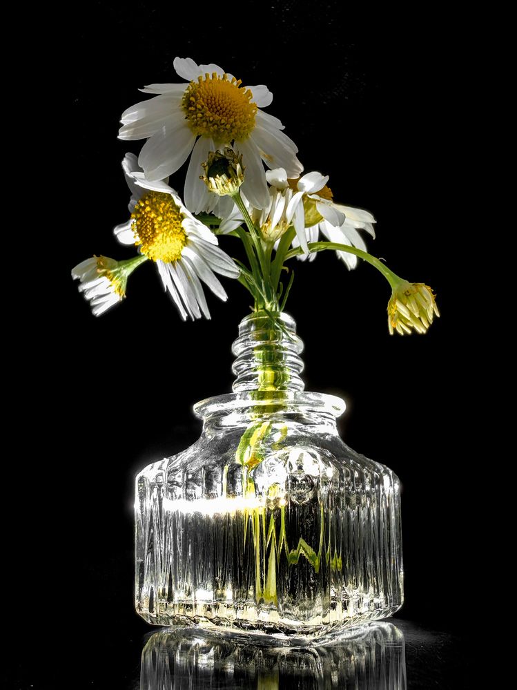 Photograph by Анна Каримуллина
