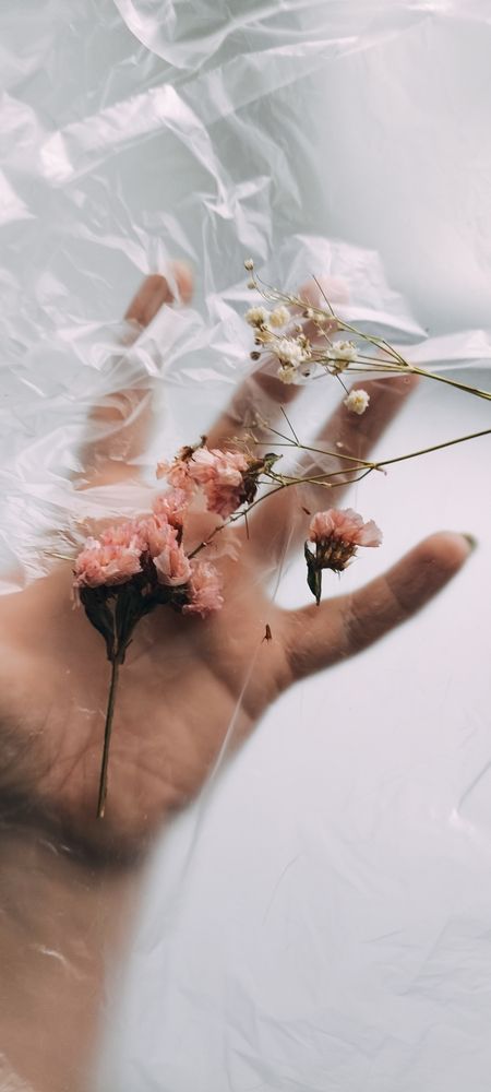 Photograph by Ульяна Бедрицкая