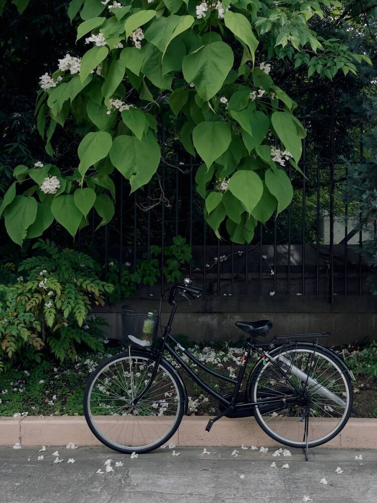 Photograph by Татьяна Баранова