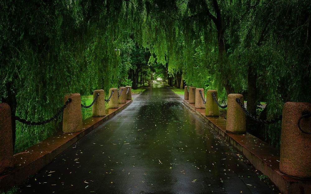 Английский парк