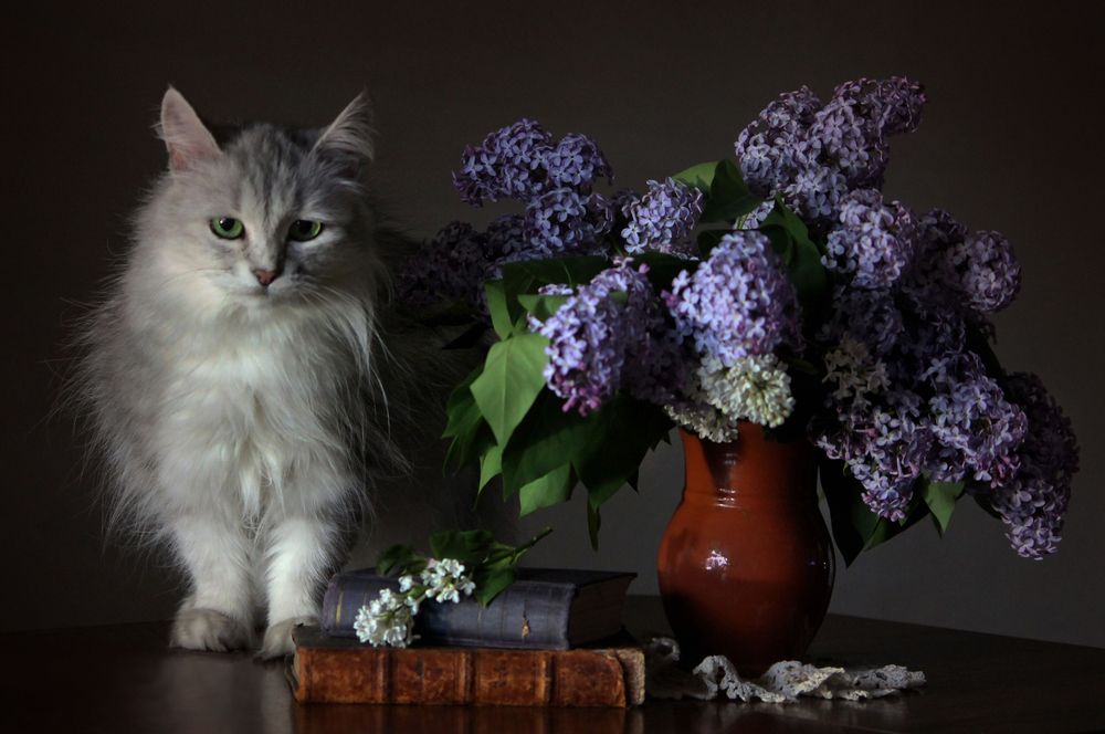 Photograph by Зоя Быкова