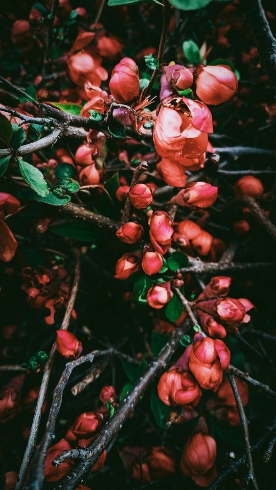 Photograph by Дарья Кирина