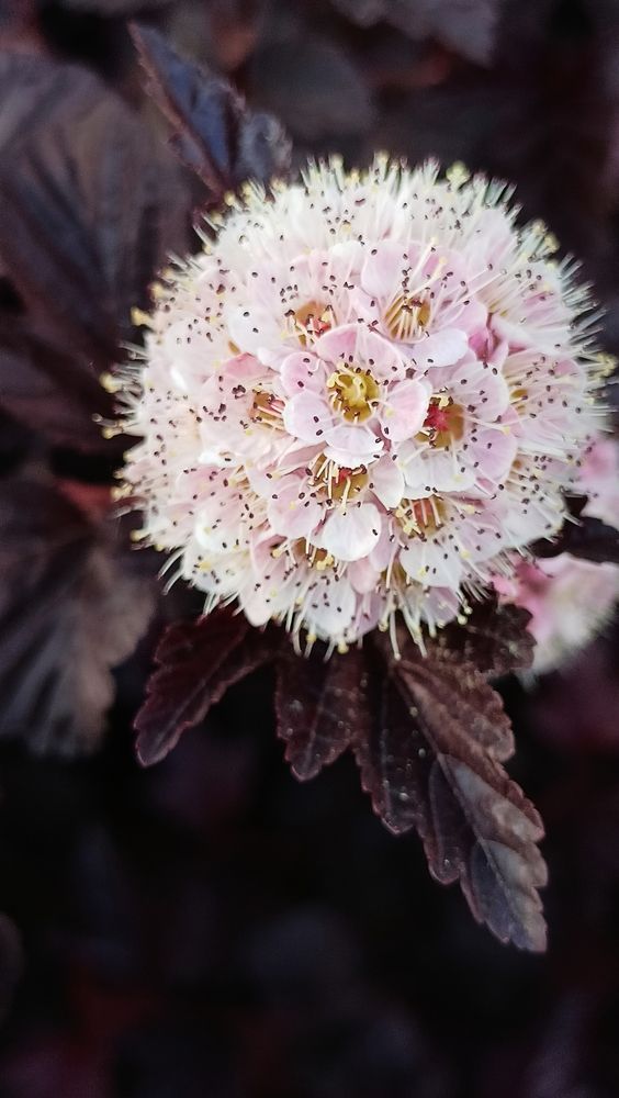 Photograph by Дарья Кирина