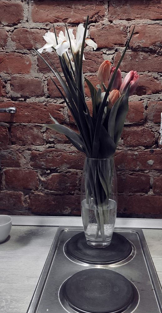 Photograph by Надежда