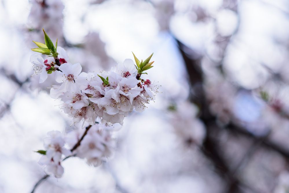 Photograph by Лилия Иванова