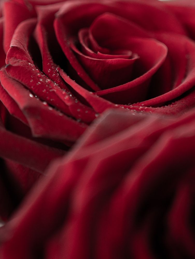 Photograph by Kedar Diwakar Mandakhalikar