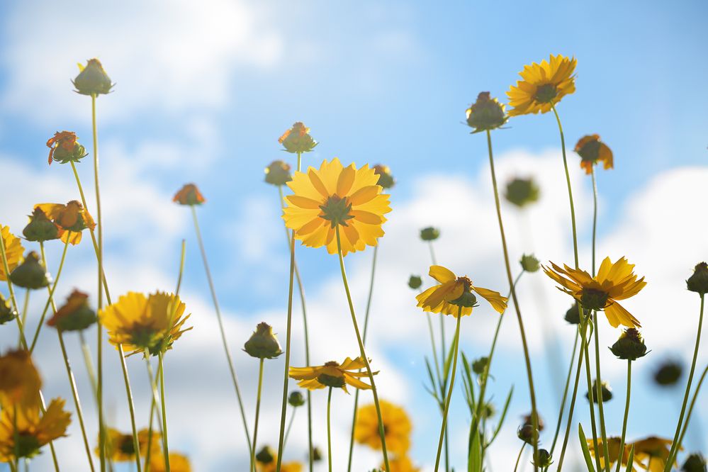 Photograph by Анатолий Садовский