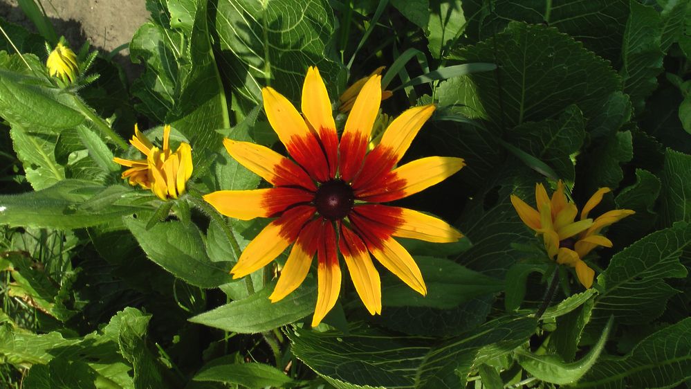 Не выключай!