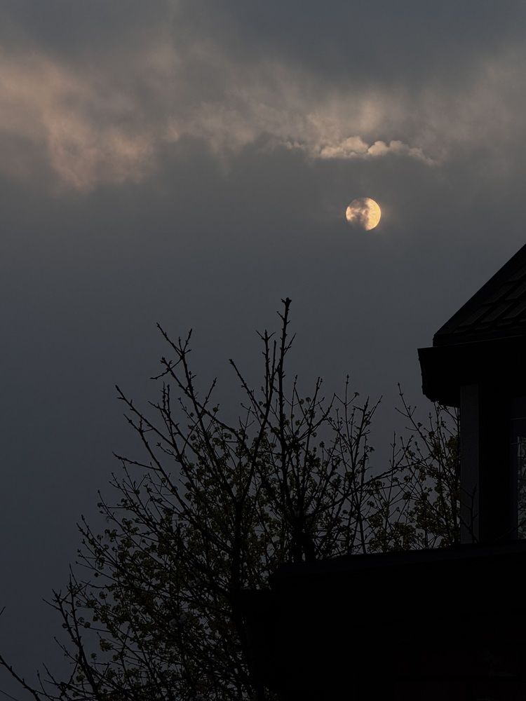 Photograph by Жанна Колесникова