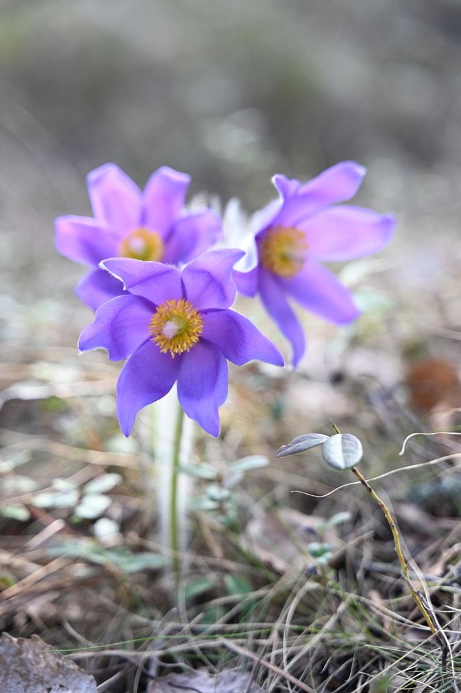 Photograph by Анна Зернова