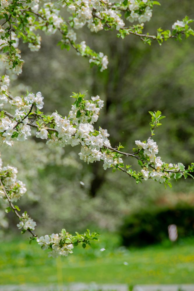 Photograph by Ольга Нагайцева