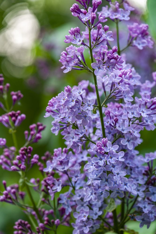 Photograph by Александр Шульга