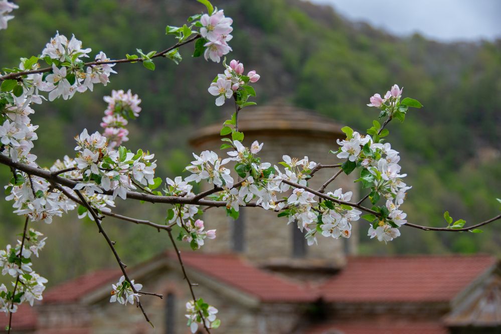 Photograph by Ольга Нагайцева