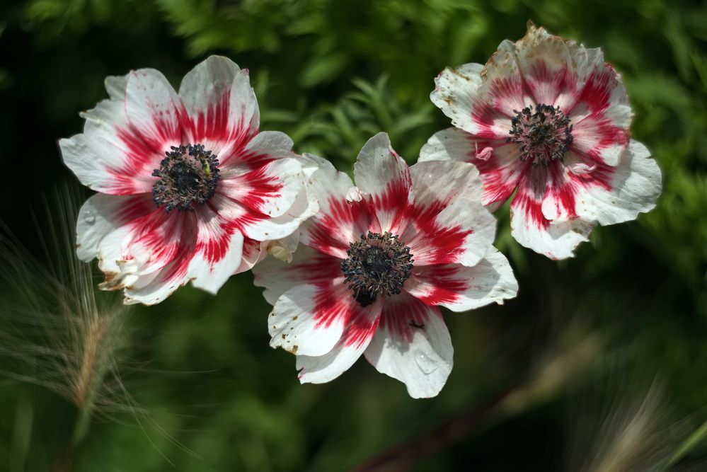 Фотография автора Юрий Кашлевский