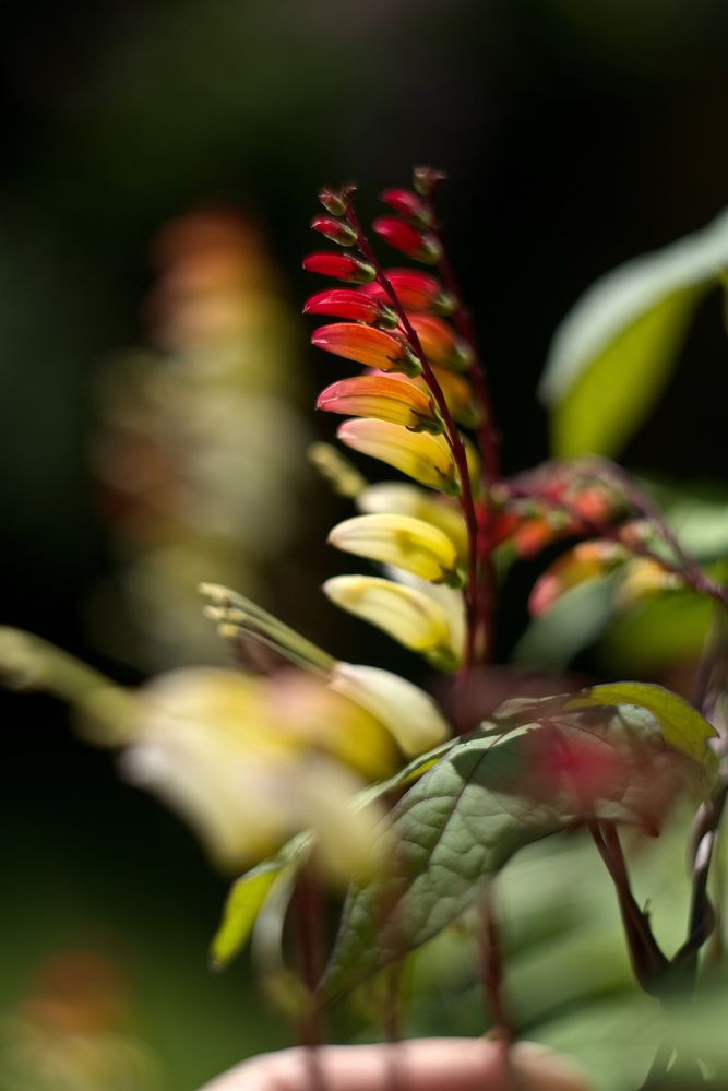 Фотография автора Юрий Кашлевский