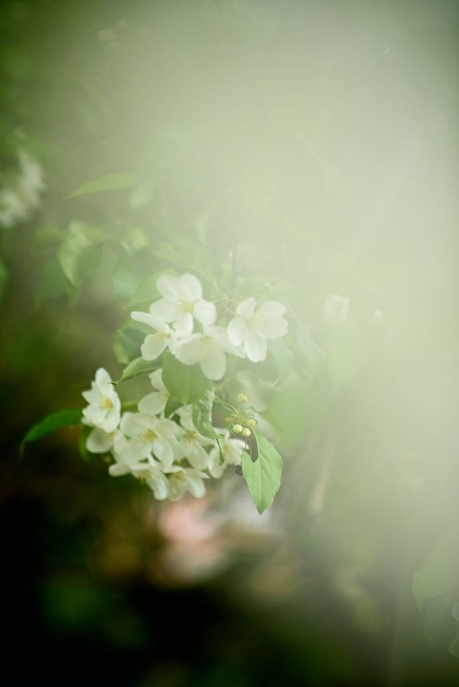 Photograph by Лилия Иванова