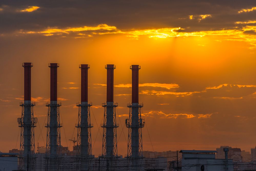 Photograph by Tatyana