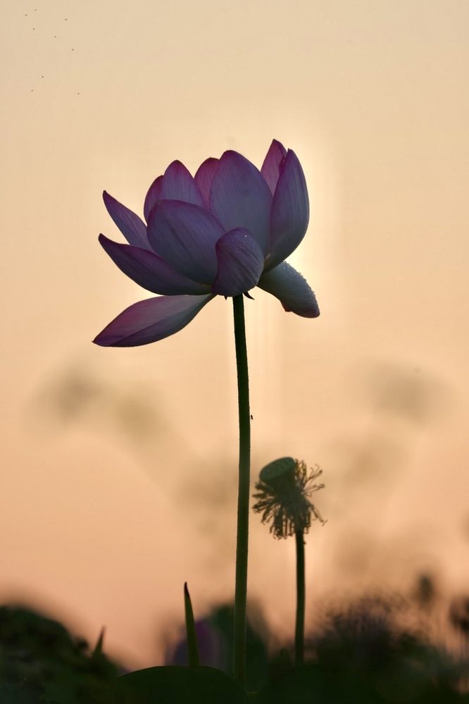 Photograph by Одаренко Ольга