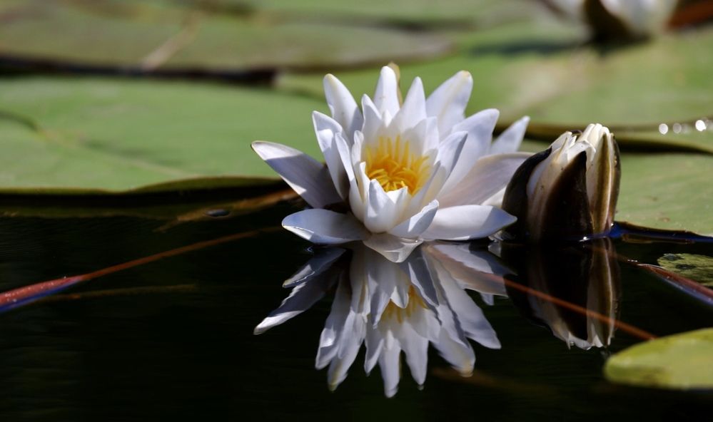 Photograph by Одаренко Ольга