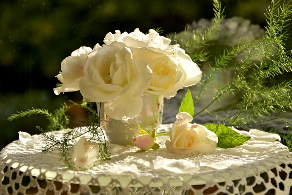 Photograph by Ирина Алексеева