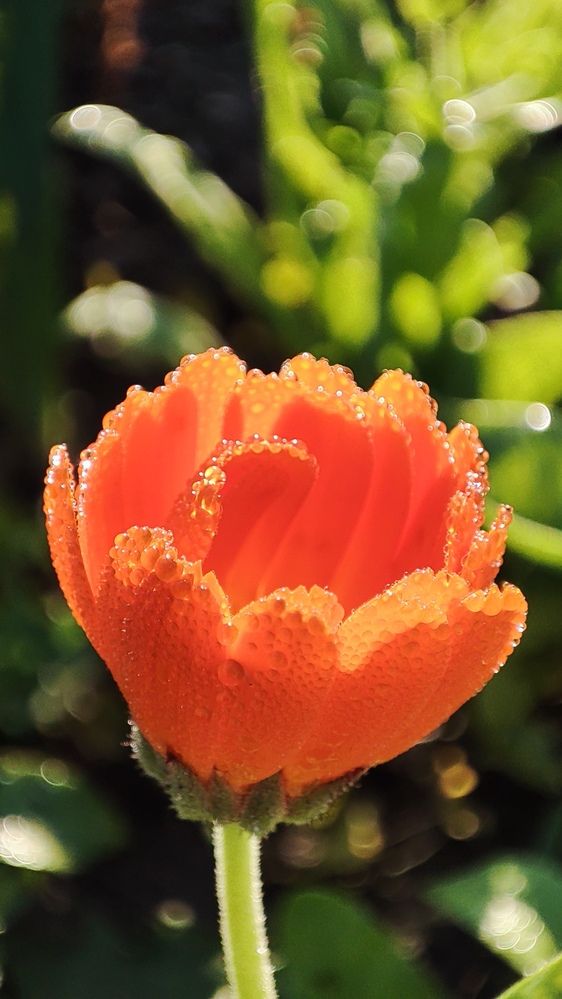 Photograph by Людмила Кузнецова