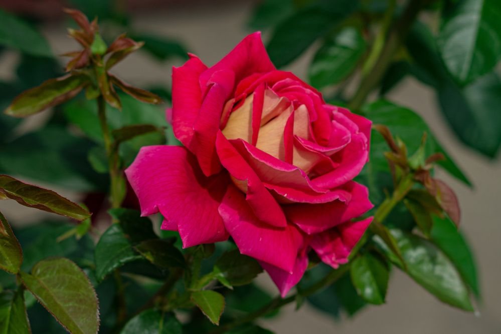 Photograph by Галина Григорьева