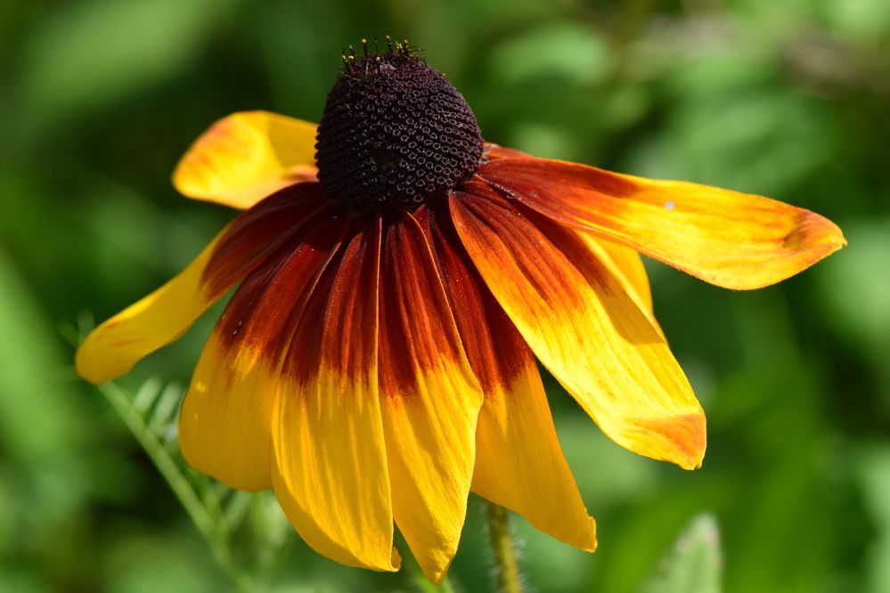 Photograph by Инна Голубева