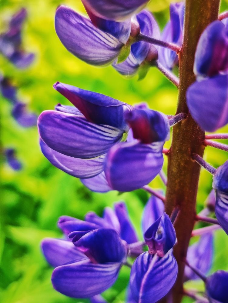 Photograph by Olena Chertous