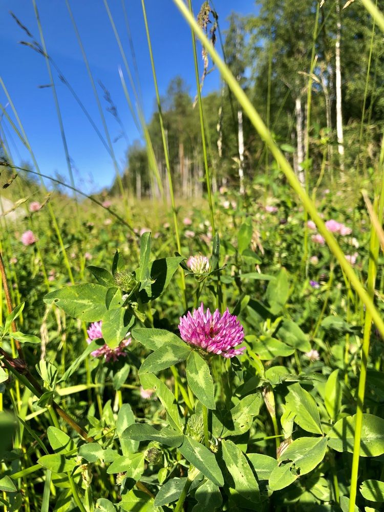 Photograph by Олеся Семёнова