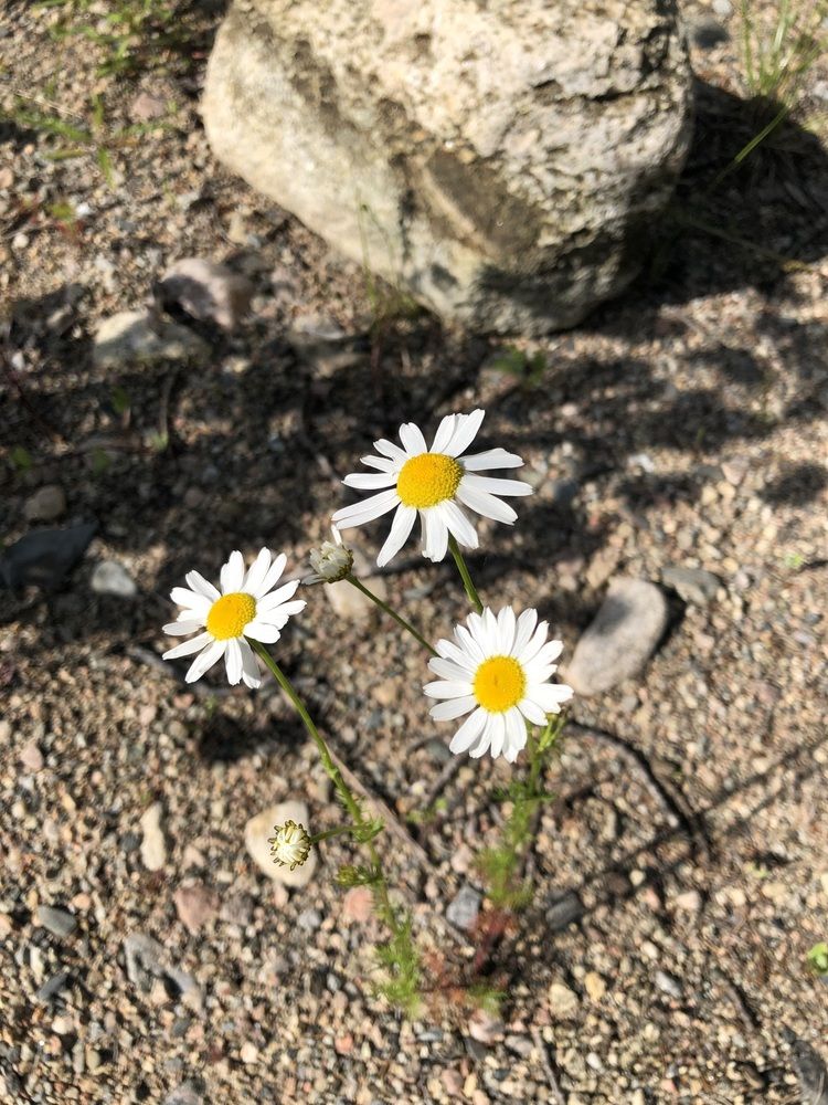 Photograph by Олеся Семёнова