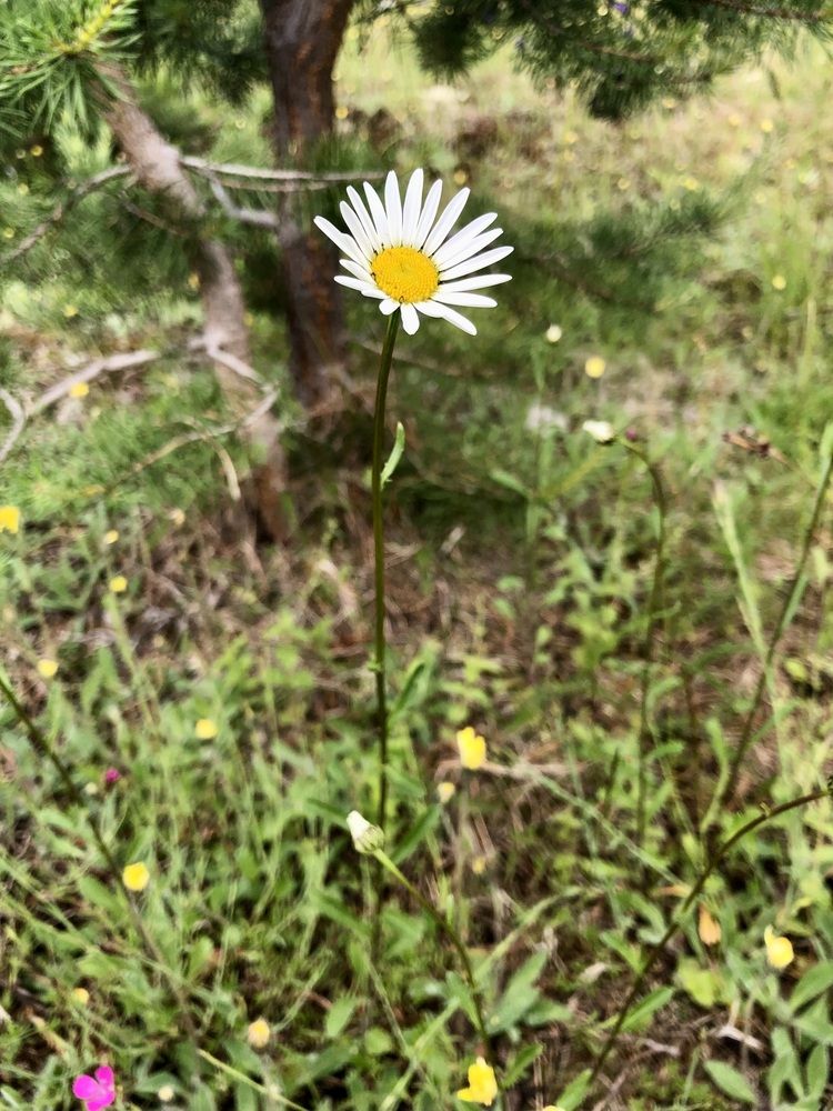 Photograph by Олеся Семёнова