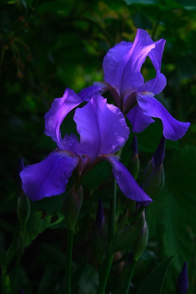 Photograph by Яна Истоцкая