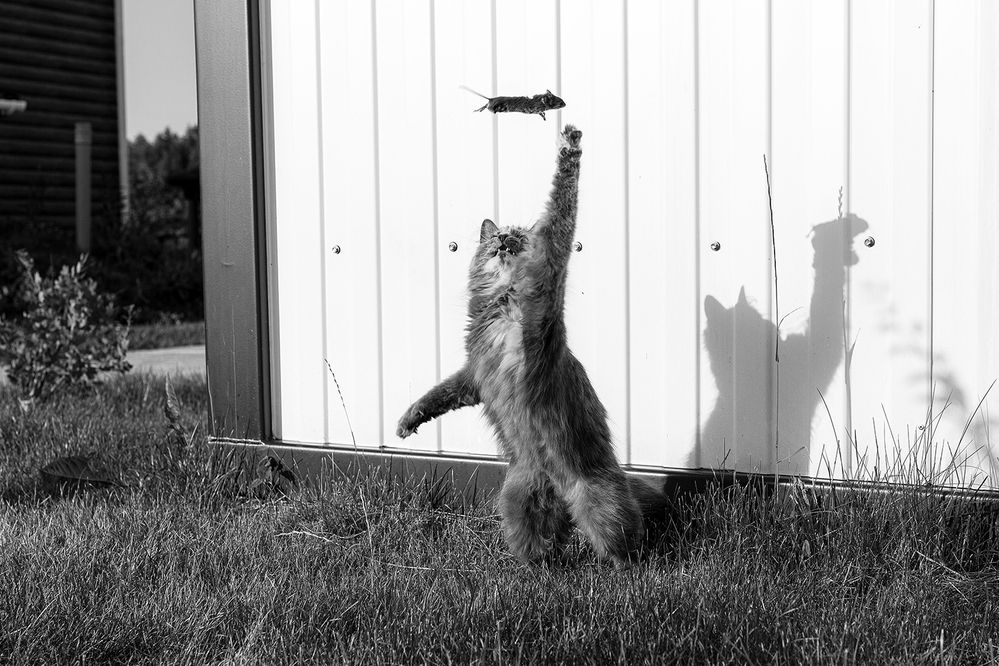 Photograph by Чистякова Валерия