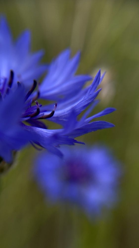 Photograph by Анна Кулакова