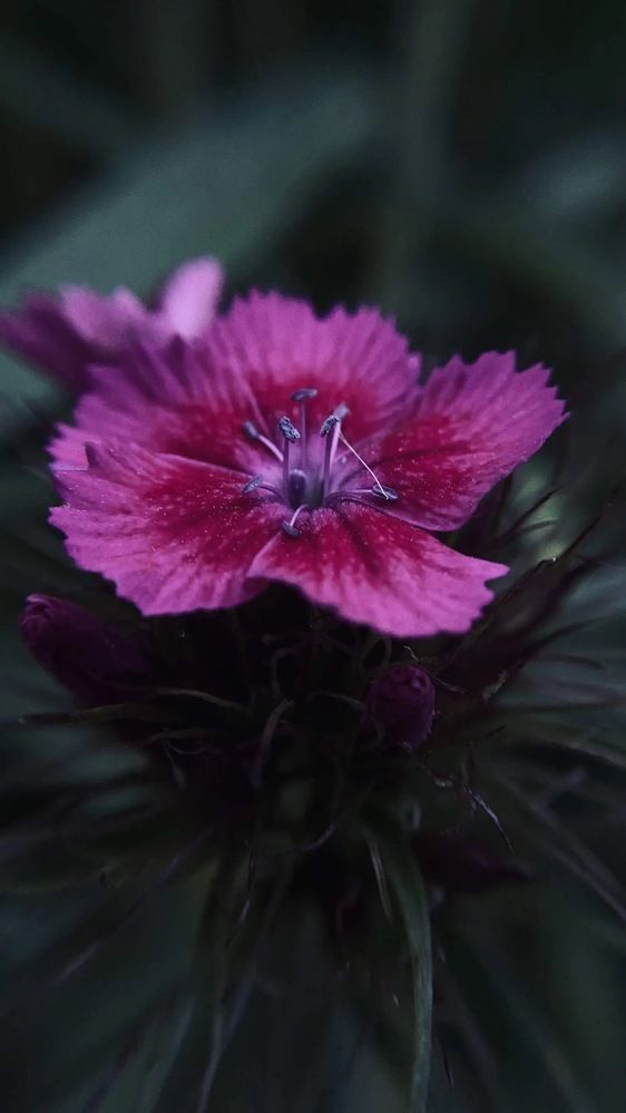 Photograph by Анна Кулакова