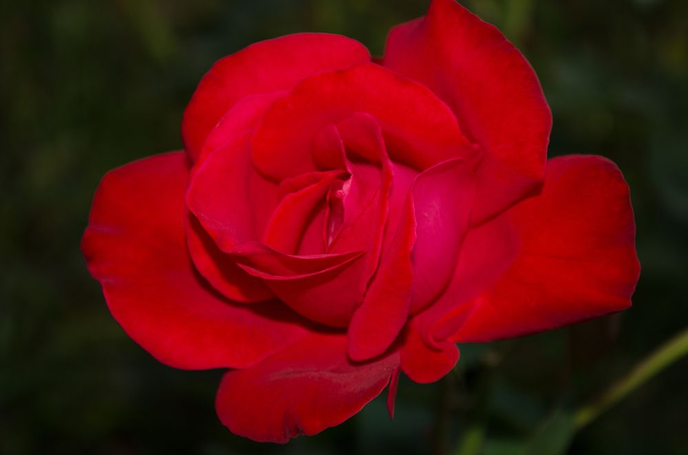 Photograph by Андрей Федоров