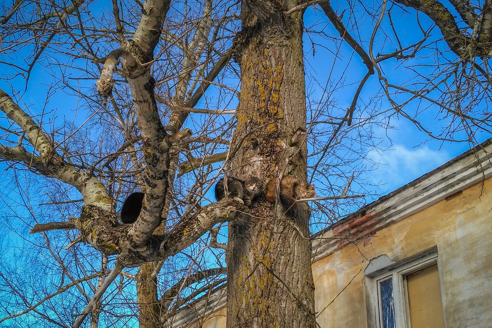 Photograph by Pavel Gukov