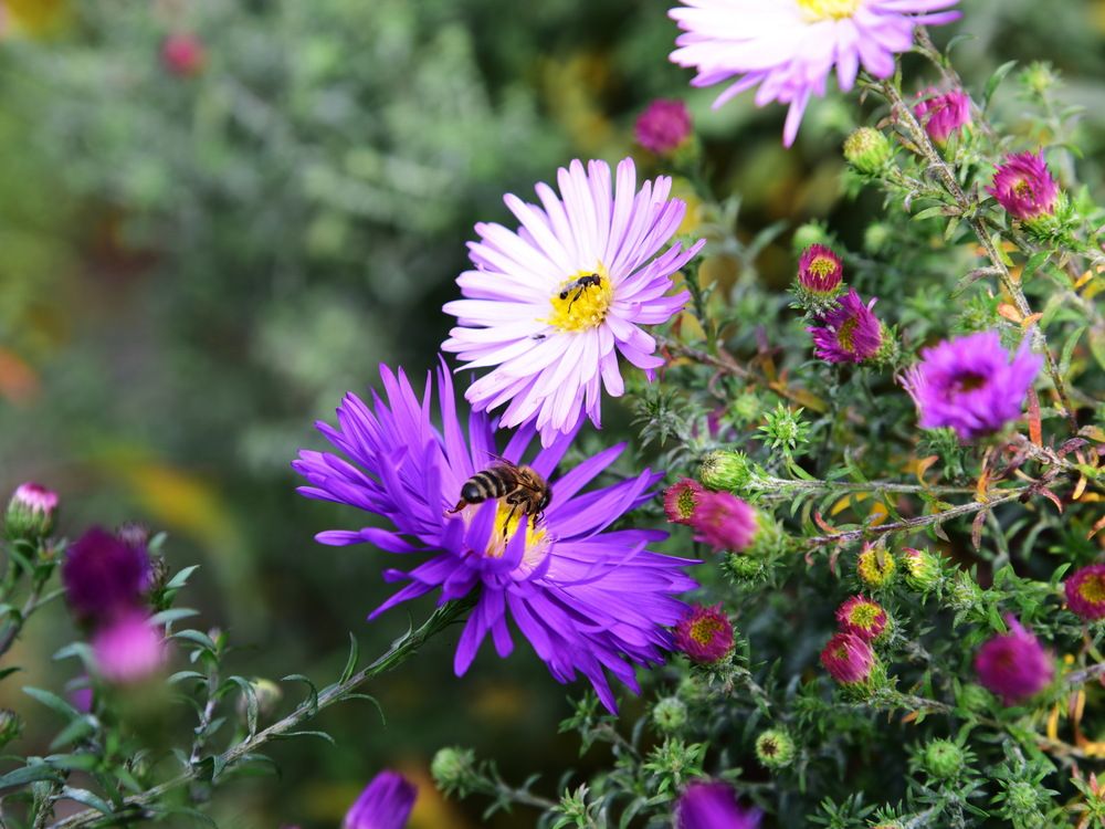 Photograph by Андрей Митькин