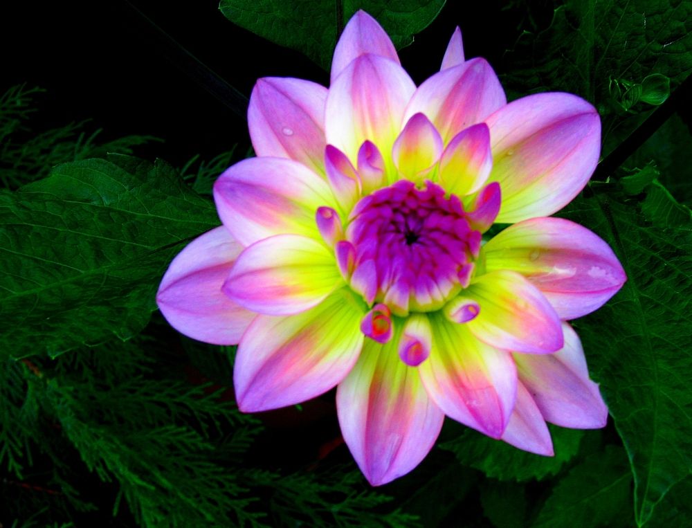 Photograph by Vyacheslav Popov