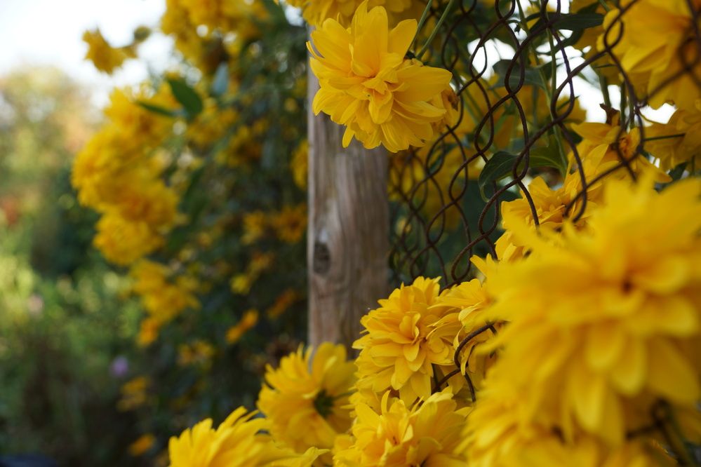 Photograph by Анна Самара