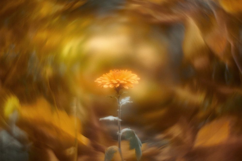 Photograph by Денис Будняк