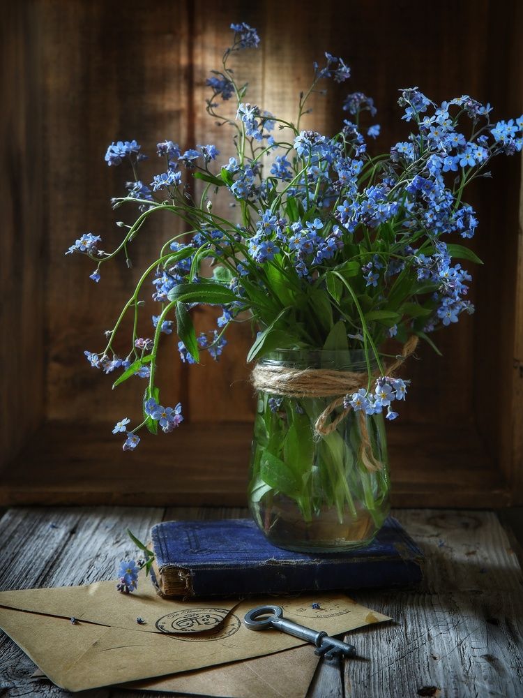 Photograph by Angelica Medvedeva