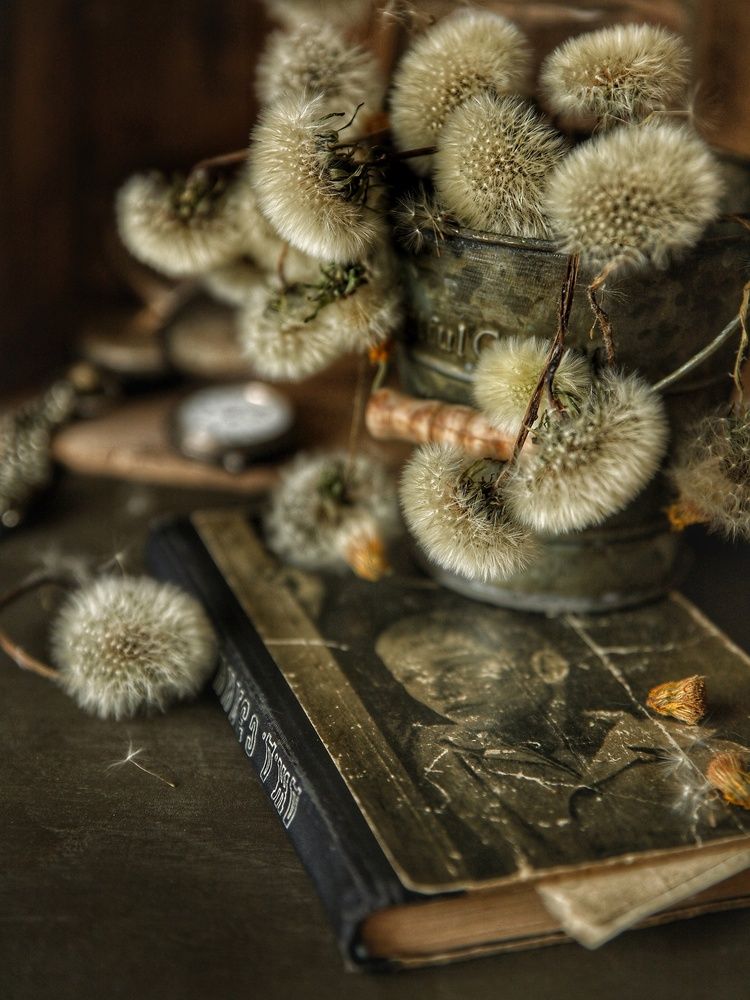 Photograph by Angelica Medvedeva